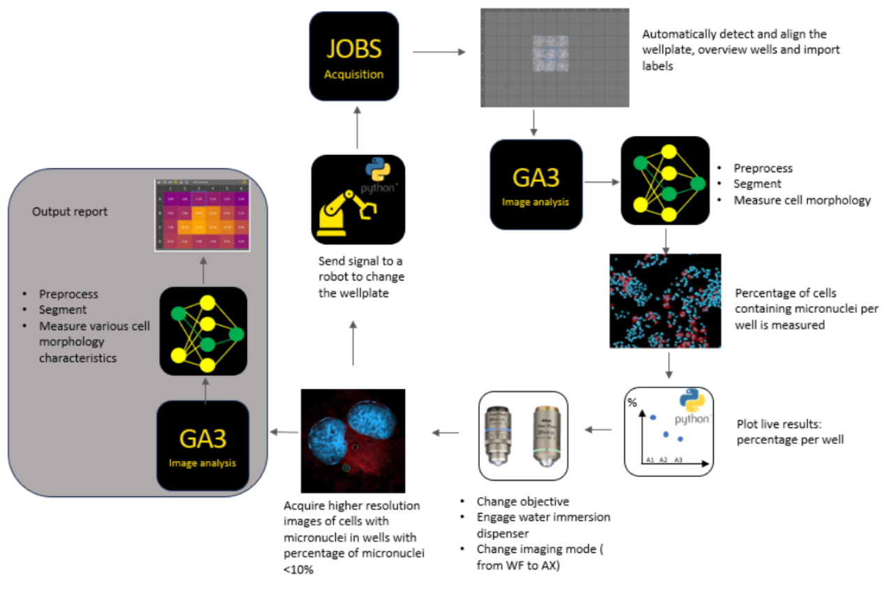 Feedback microscopy
